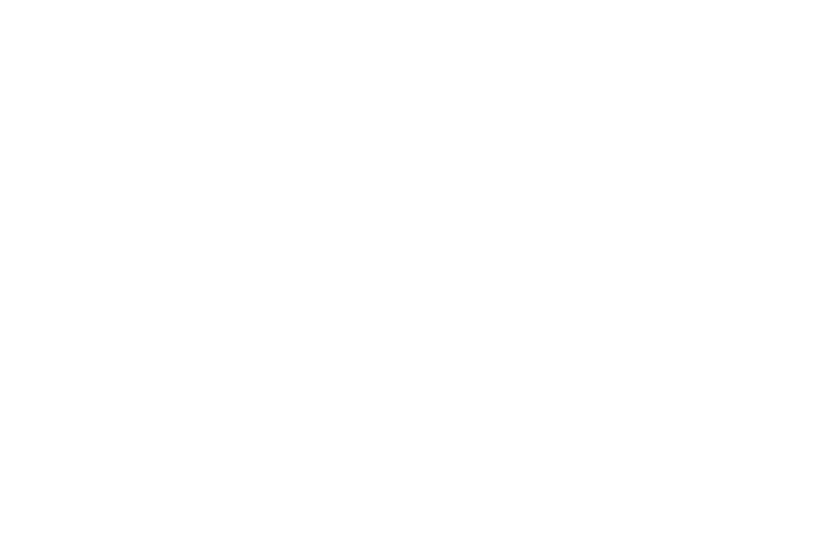 Meta Business Partner