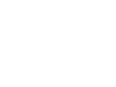 Shopify Partners