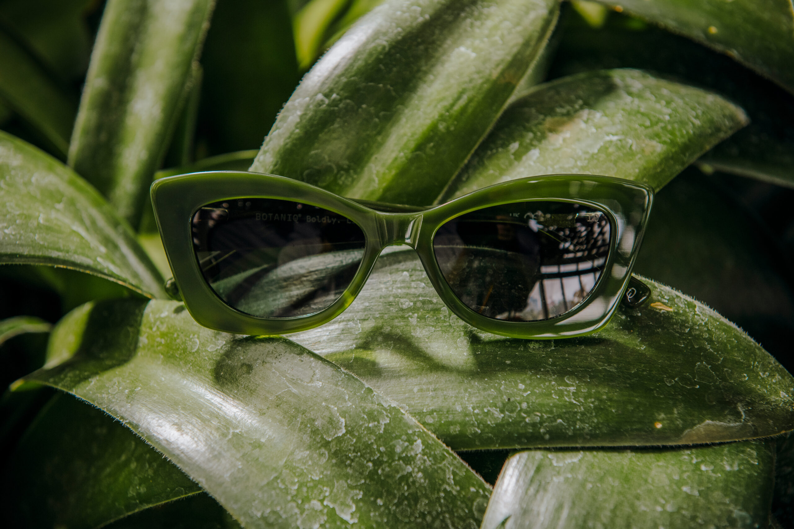 INSPECS_BOTANIQ_18_STILL_LIFE_0117